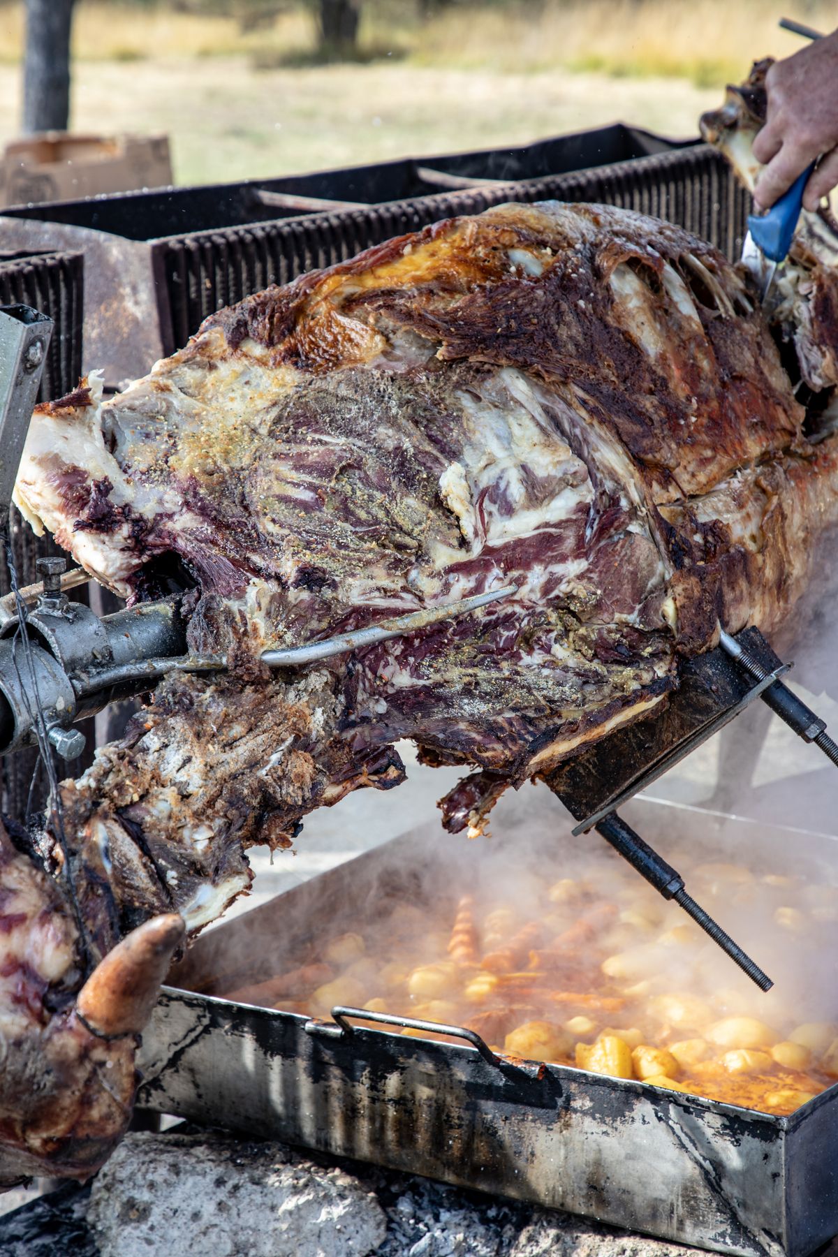 Kambing Guling Utuh Catering Makassar